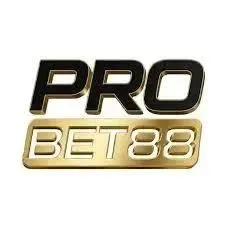 PROBET88 - Permainan Bingo Seru dan Mengasyikkan